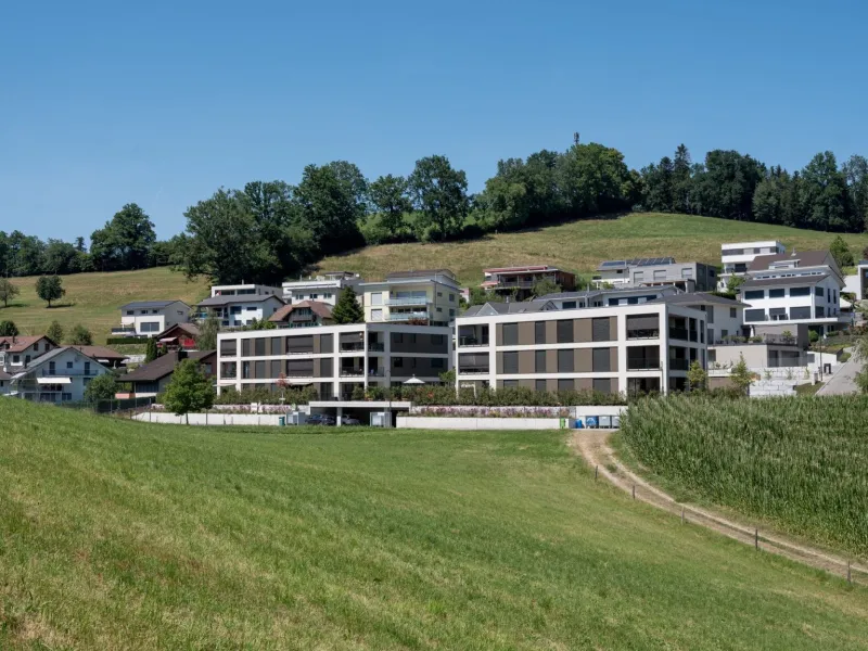 Neubau 2 MFH