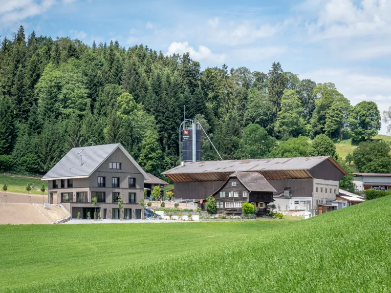 Neubau 2FH