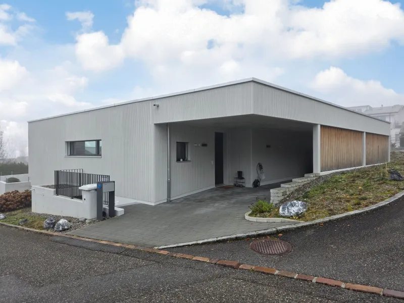 Neubau EFH